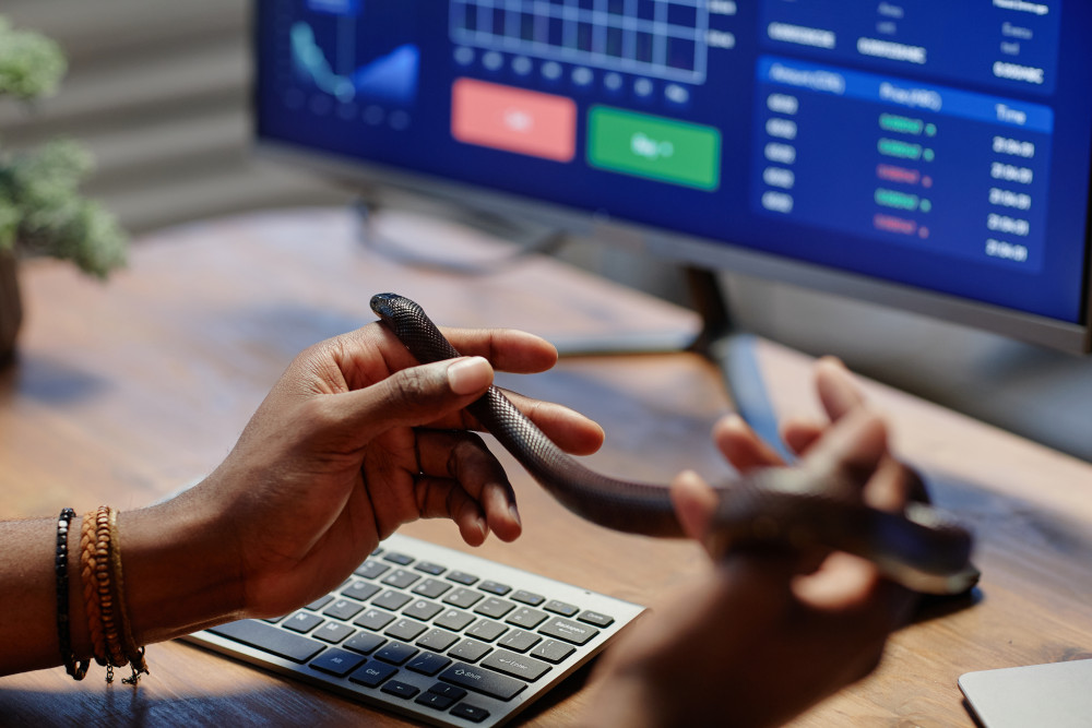 Comprendre le rôle et le fonctionnement du broker en ligne market maker
